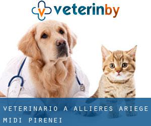 veterinario a Allières (Ariège, Midi-Pirenei)