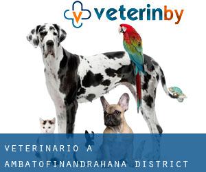 veterinario a Ambatofinandrahana District
