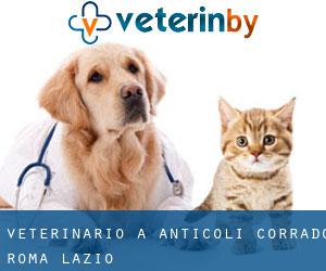 veterinario a Anticoli Corrado (Roma, Lazio)