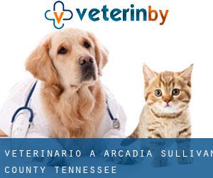 veterinario a Arcadia (Sullivan County, Tennessee)