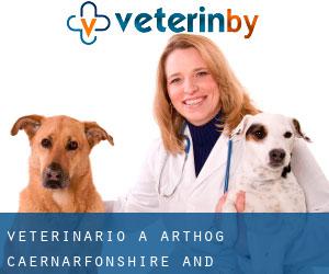 veterinario a Arthog (Caernarfonshire and Merionethshire, Galles)