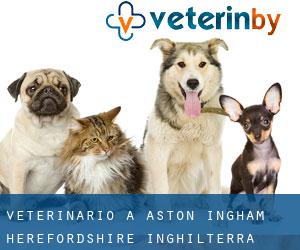 veterinario a Aston Ingham (Herefordshire, Inghilterra)