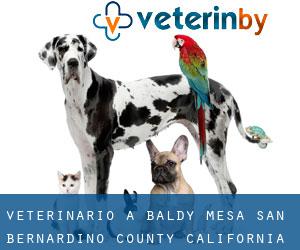 veterinario a Baldy Mesa (San Bernardino County, California)