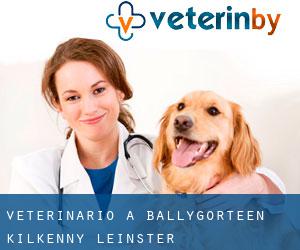 veterinario a Ballygorteen (Kilkenny, Leinster)
