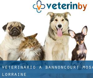 veterinario a Bannoncourt (Mosa, Lorraine)