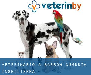 veterinario a Barrow (Cumbria, Inghilterra) veterinario a Barrow (Cumbria, Inghilterra)