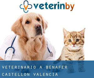 veterinario a Benafer (Castellon, Valencia)