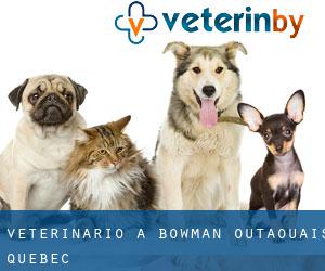 veterinario a Bowman (Outaouais, Quebec)