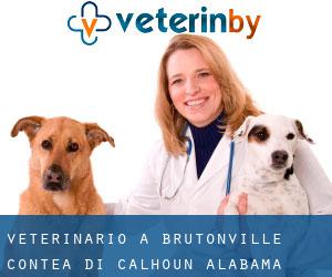 veterinario a Brutonville (Contea di Calhoun, Alabama)