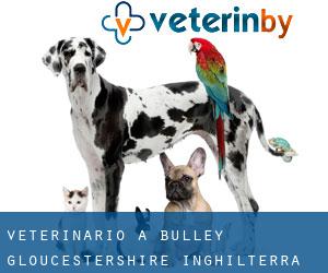 veterinario a Bulley (Gloucestershire, Inghilterra)