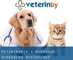 veterinario a Bungadoo (Bundaberg, Queensland)
