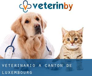 veterinario a Canton de Luxembourg