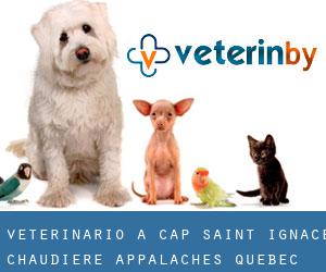 veterinario a Cap-Saint-Ignace (Chaudière-Appalaches, Quebec)