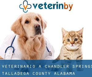 veterinario a Chandler Springs (Talladega County, Alabama)