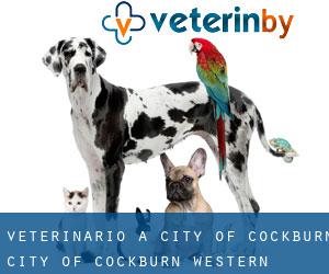 veterinario a City of Cockburn (City of Cockburn, Western Australia)