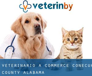 veterinario a Commerce (Conecuh County, Alabama)