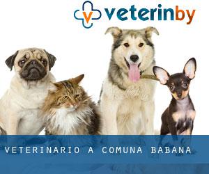 veterinario a Comuna Băbana
