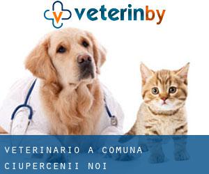 veterinario a Comuna Ciupercenii Noi