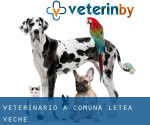 veterinario a Comuna Letea Veche