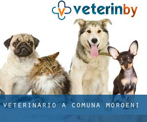 veterinario a Comuna Moroeni
