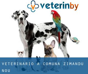 veterinario a Comuna Zimandu Nou