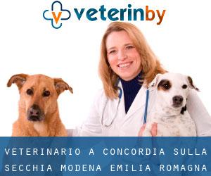 veterinario a Concordia sulla Secchia (Modena, Emilia-Romagna)