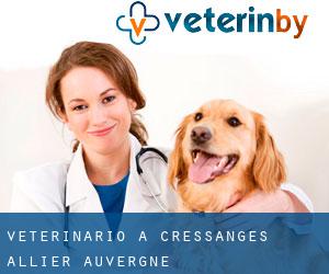 veterinario a Cressanges (Allier, Auvergne)
