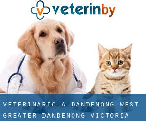 veterinario a Dandenong West (Greater Dandenong, Victoria)