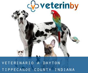 veterinario a Dayton (Tippecanoe County, Indiana)