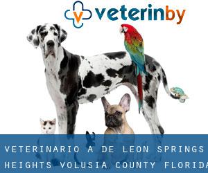 veterinario a De Leon Springs Heights (Volusia County, Florida)