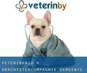 veterinario a Drachtstercompagnie (Gemeente Smallingerland, Frisia)