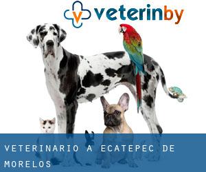 veterinario a Ecatepec de Morelos veterinario a Ecatepec de Morelos
