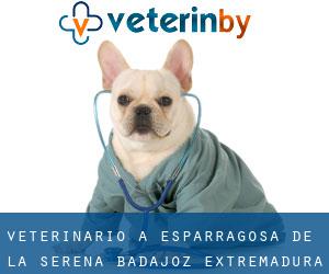 veterinario a Esparragosa de la Serena (Badajoz, Extremadura)