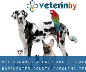 veterinario a Fairlawn Terrace (Dorchester County, Carolina del Sud)