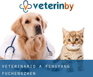 veterinario a Fengyang Fuchengzhen
