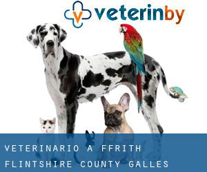 veterinario a Ffrith (Flintshire County, Galles)