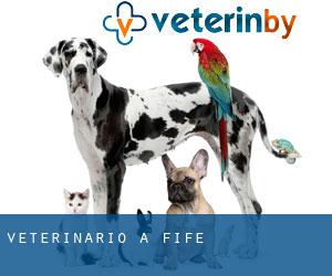 veterinario a Fife