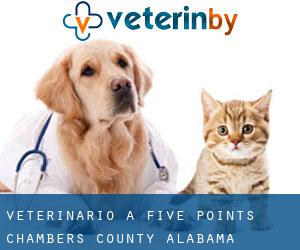 veterinario a Five Points (Chambers County, Alabama)