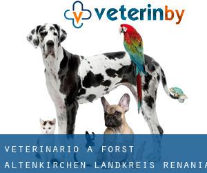 veterinario a Forst (Altenkirchen Landkreis, Renania-Palatinato)