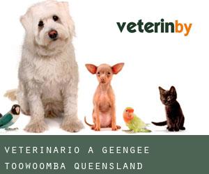 veterinario a Geengee (Toowoomba, Queensland)