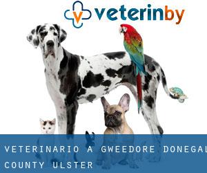 veterinario a Gweedore (Donegal County, Ulster)