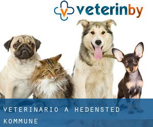veterinario a Hedensted Kommune