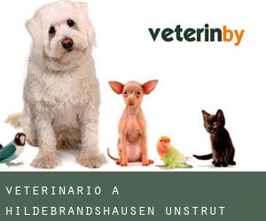 veterinario a Hildebrandshausen (Unstrut-Hainich-Kreis, Turingia)