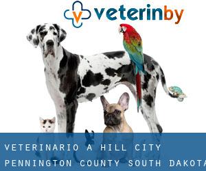 veterinario a Hill City (Pennington County, South Dakota)