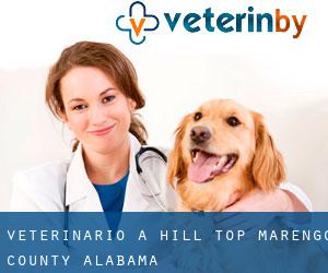 veterinario a Hill Top (Marengo County, Alabama)