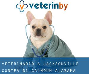 veterinario a Jacksonville (Contea di Calhoun, Alabama)