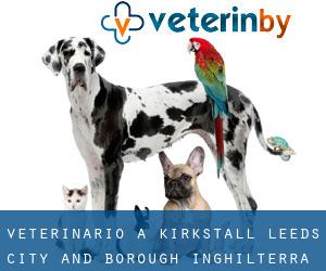 veterinario a Kirkstall (Leeds (City and Borough), Inghilterra)