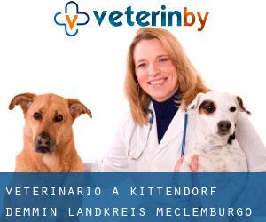 veterinario a Kittendorf (Demmin Landkreis, Meclemburgo-Pomerania Anteriore)