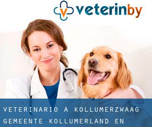 veterinario a Kollumerzwaag (Gemeente Kollumerland en Nieuwkruisland, Frisia)