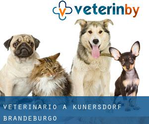 veterinario a Kunersdorf (Brandeburgo)